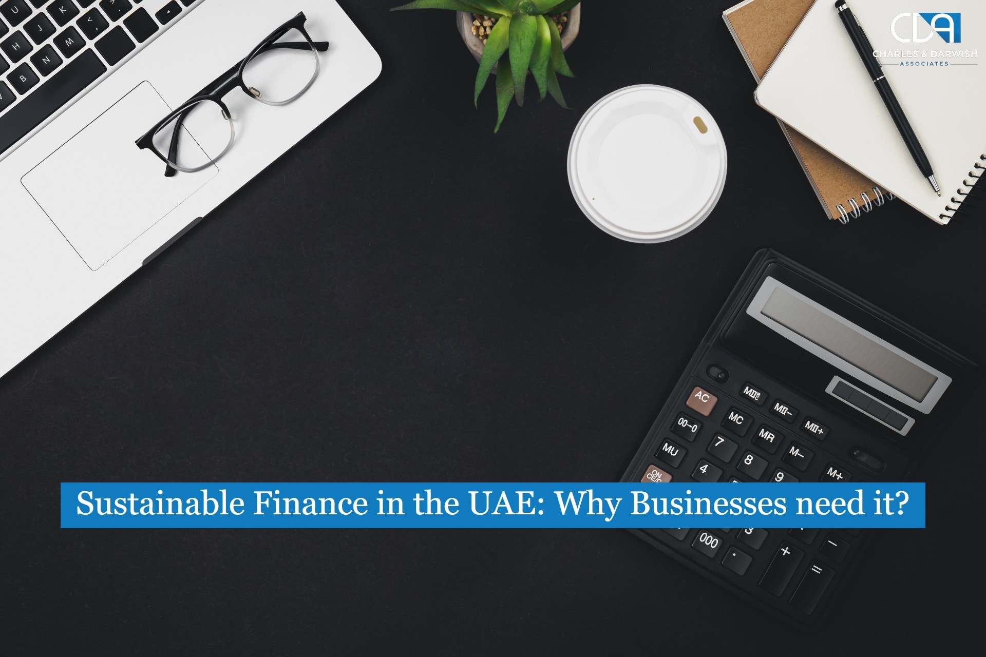 Sustainable Finance in the UAE: Why Businesses need it